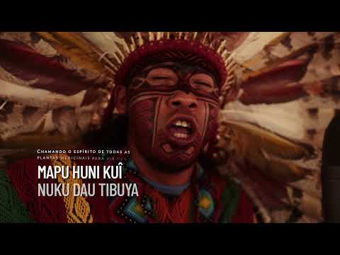 Mapu Huni Kuin - Bari Bay (Caminho do Sol)
