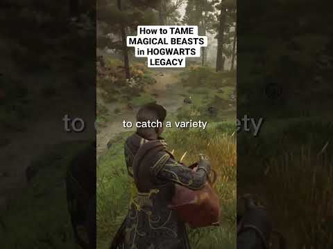 How to TAME MAGICAL BEASTS in HOGWARTS LEGACY #hogwartslegacy #hogwarts #streamer #gryffindor #games