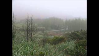 Groundislava - Cider