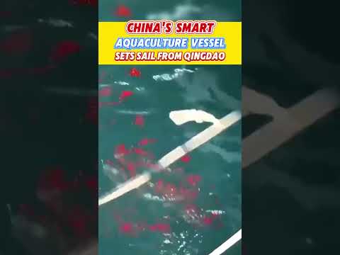 China's #Smart #Aquaculture Vessel Sets Sail From #Qingdao #fyp #fypシ #china #chinatiktok #likechina