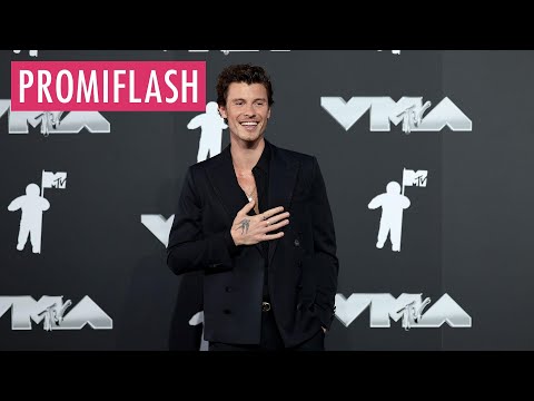Shawn Mendes hat sein Album-Release nach hinten verschoben
