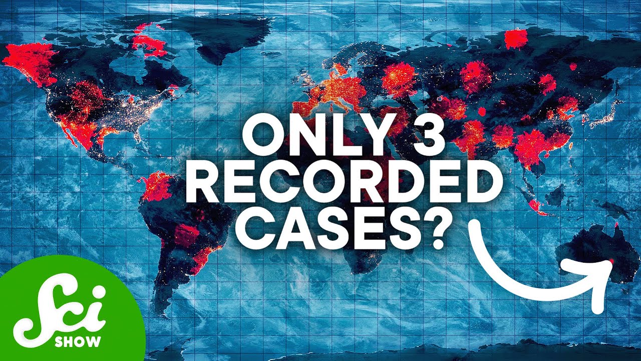 Around The World In 7 Diseases