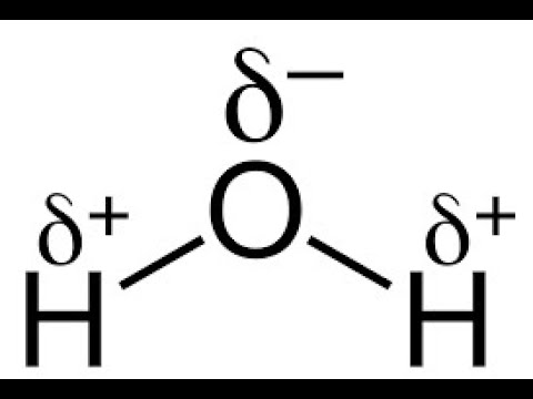 Polarity and Water - By Mr. K