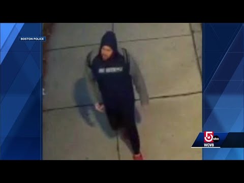 Search continues for man wanted in attack on woman, 68