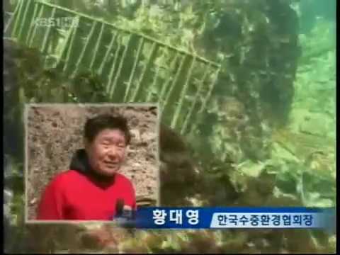KBS뉴스 독도 쓰레기로 몸살_2007.08.27 보도자료