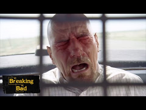 Police Officer Offers Zero Sympathy To Walter | Caballo Sin Nombre | Breaking Bad