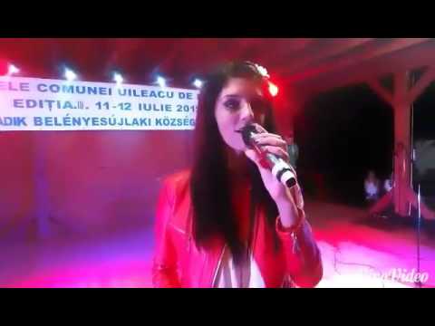 ZILELE COMUNEI UILEACU DE BEIUS BY SONIA BURTIC