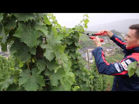 Hayden Paddon Rally Germany Warm-Up 2015