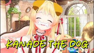 Kanade the dog EN SUBS