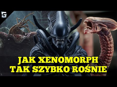 Jak Xenomorph Tak Szybko Rośnie? Obcy
