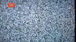 astroPuppees "THE TUBE" (Gary Klebe)