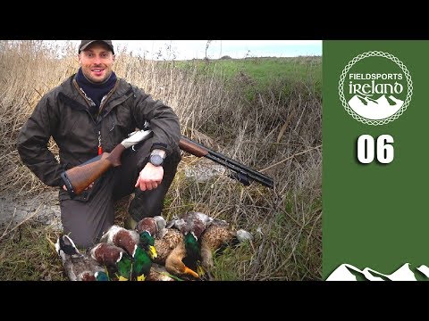 Irish Duck Hunt – Fieldsports Ireland, episode 6 Irish Duck Hunt – Fieldsports Ireland, episode 6