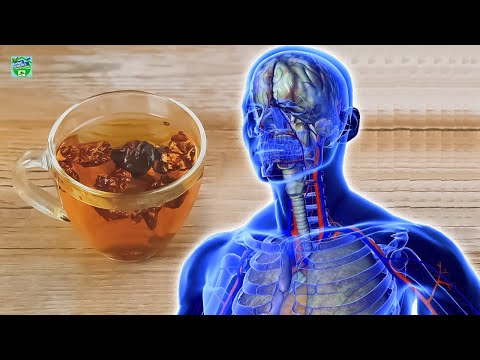 How To Make Chaga Mushroom Tea For Medicinal Health Benefits