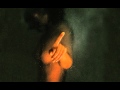 Mick Jenkins & Drake - Fresh Water (Lege Kale ...