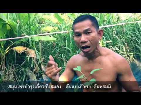 ความอ่อนแอในผู้หญิง Sretstva สำหรับความแรง