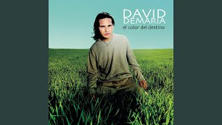 La Sombra De Mi Sombra