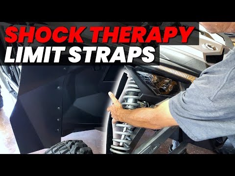 Shock Therapy UTV Limit Strap Kit