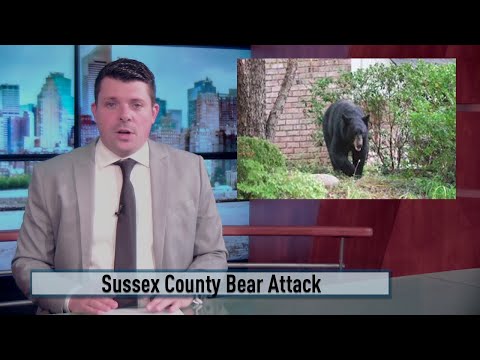 NJ Sussex County Lafayette Township Woman Attacked By Bear