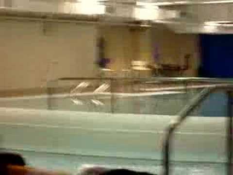 download lagu mp3 mp4 How To Not Stress Before A Swim Meet, download lagu How To Not Stress Before A Swim Meet gratis, unduh video klip How To Not Stress Before A Swim Meet