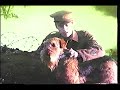 Eyewitness Dog 1994