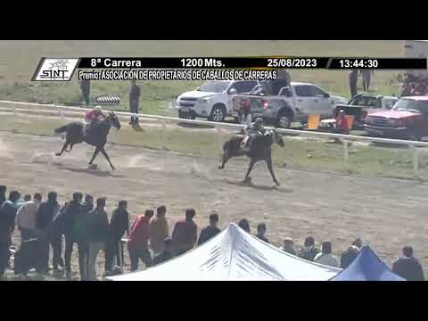 230825 c08 - 1° VISION DAY  - SINT COLONIA