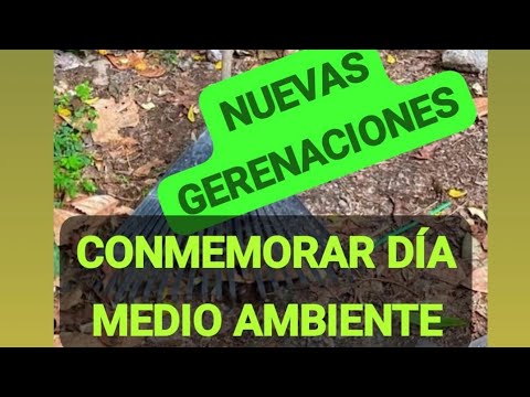 Sencibilizando cuidar el medio ambiente en los nacimientos, Mercedes la Ceiba, La Paz