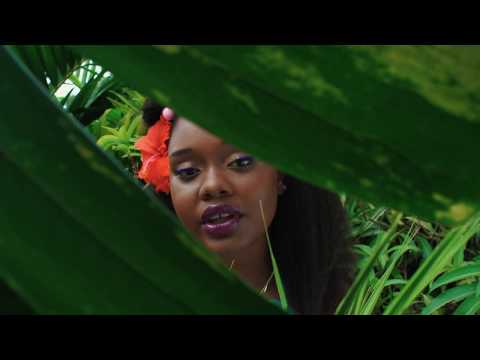 Amindi, Tessellated & Valleyz - Pine & Ginger (Official Video)