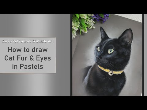 Drawing Cat Fur and Eyes in Pastels | Drawing Cat Eyes | Cat Pet Portrait