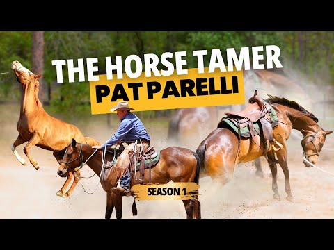 Decades of Horse Training Compressed Into One Series | Pat Parelli Launches: The Horse Tamer 🎬🐴