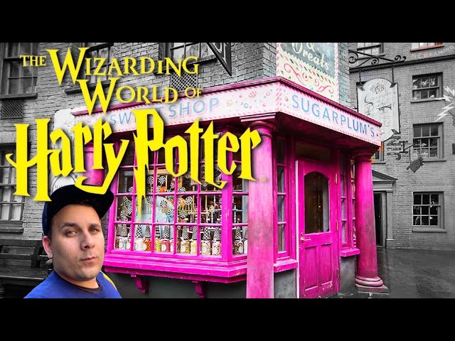 Vídeo relacionado con Harry Potter Kit de decoración de tronco o golosina, paquete de mundo mágico con suministros de Halloween, accesorios y más | Decoración de Harry Potter para Halloween