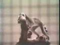 Classic Sesame Street Lemurs On Film