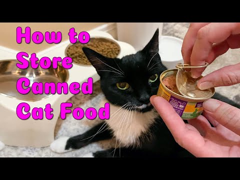 How to Store Canned Cat Food