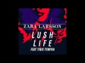 Zara Larsson - Lush Life feat. Tinie Tempah (audio ...