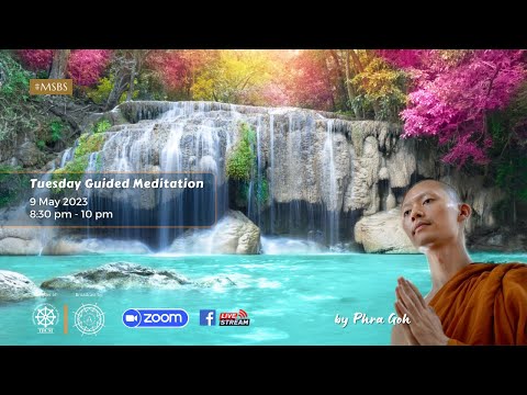 𝐓𝐮𝐞𝐬𝐝𝐚𝐲 𝐆𝐮𝐢𝐝𝐞𝐝 𝐌𝐞𝐝𝐢𝐭𝐚𝐭𝐢𝐨𝐧 | Susima Sutta | 9 May 2023