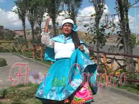 FLOR DEL CANIPACO   CAMINITO DE HUANCAYO