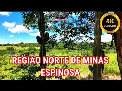 VÔO EXPLORATÓRIO DRONE NEO 2 SÍTIO-ESPINOSA MG .