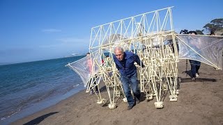 Adam Savage Meets Theo Jansen&#39;s Strandbeest!