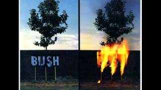 Bush - Broken TV