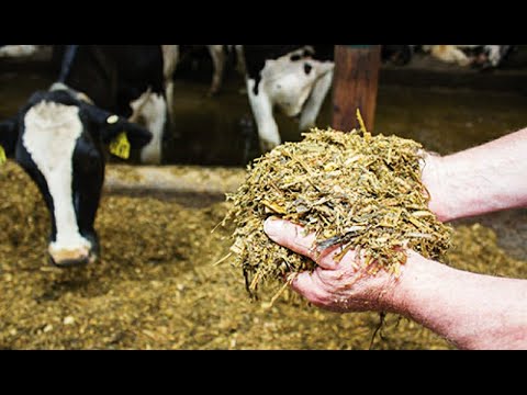 , title : 'أحسن تركيبة للأبقار الحلوب عالية الإنتاج (30-40) لتر من الحليب'