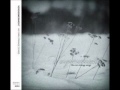 Vergissmeinnicht - Evening Moon 