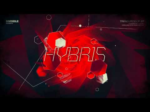 Hybris - Nitty Gritty Committee