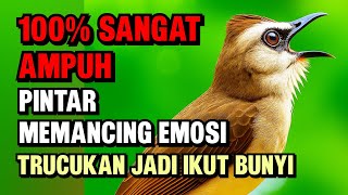 Download lagu Pancingan Trucukan PALING AMPUH ! Burung Langsung Ngalas | & Nyaut Gacor mp3