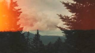 Twin Sister - Eastern Green (Taquwami Bootleg Remix)