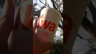 After hurricane Matthew in Daytona beach Florida