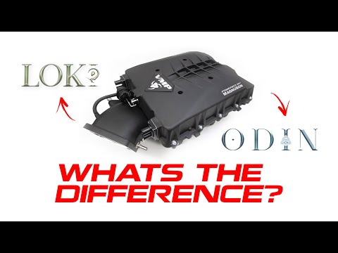 Loki and Odin || What's the Difference?