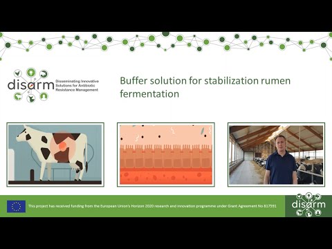 Buffer solution for stabilization rumen fermentation