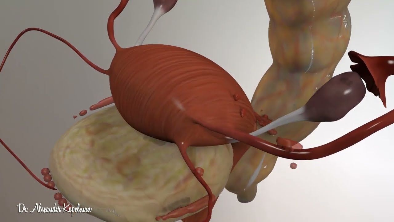 Cléia De Oliveira Carreira-3