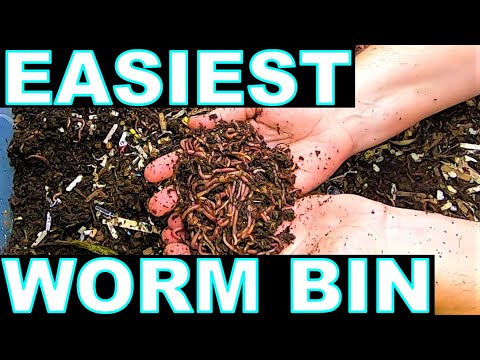 Easiest Worm Compost Bin- Lasagna Style Bin.