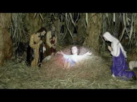 Palavra do dia 30/01/2019 Pe Darlan Marasca, scj