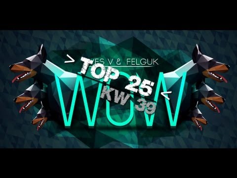 Deutsche Top 25 Electro Charts [KW 39 2012]